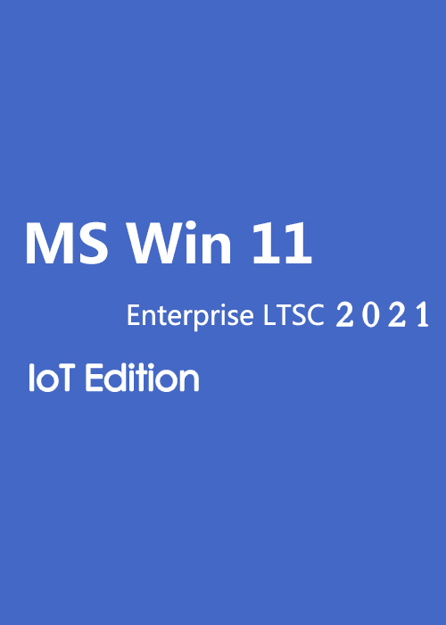 MS Win 11 Enterprise LTSC 2024 IoT Edition CD Key