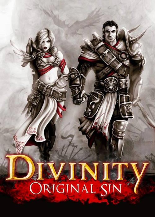 Divinity Original Sin Steam CD Key
